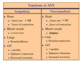 Dilation
+ VD + VC
 