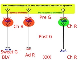 Sweet G
Bl.V
Pre G
Post G
Ch R
Ch R
XXX
XXX
XXX
XXX
Ch R
Ad R
 