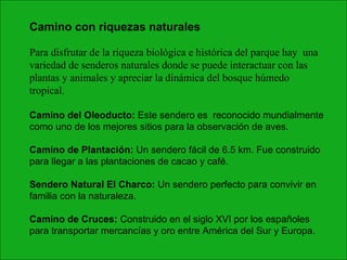 Para disfrutar de la riqueza biológica e histórica del parque hay  una variedad de senderos naturales donde se puede interactuar con las plantas y animales y apreciar la dinámica del bosque húmedo tropical. Camino del Oleoducto:  Este sendero es  reconocido mundialmente como uno de los mejores sitios para la observación de aves. Camino de Plantación:  Un sendero fácil de 6.5 km. Fue construido para llegar a las plantaciones de cacao y café. Sendero Natural El Charco:  Un sendero perfecto para convivir en familia con la naturaleza. Camino de Cruces:  Construido en el siglo XVI por los españoles para transportar mercancías y oro entre América del Sur y Europa. Camino con riquezas naturales 