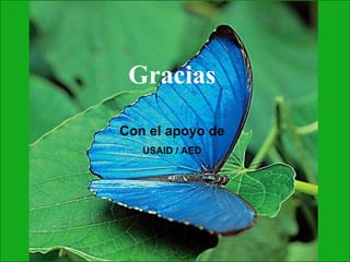 Gracias Con el apoyo de USAID / AED 