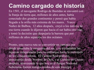 En 1501, el navegante Rodrigo de Bastidas se encontró con la franja de tierra que, millones de años antes, había conectado dos grandes continentes y pensó que había llegado a la orilla más extrema de los mares.  Vasco Nuñez de Balboa,  12 años después,  creyó a los nativos de esa tierra cuando le dijeron que hacia el sur había otro mar, y tomó la decisión que despejaría la barrera que por millones de años separaba los dos océanos.  Pronto, esta nueva ruta se convertiría en caminos por donde transitaba la conquista del sur, y se trasladaban las riquezas conquistadas para su embarque hacia la metrópoli de los conquistadores.  El Camino Real primero, atravesando desde Nombre de Dios, y el Camino de Cruces después, atravesando lo que hoy es el Parque Nacional Soberanía, fueron testigos mudos de este trasiego. Camino cargado de historia 