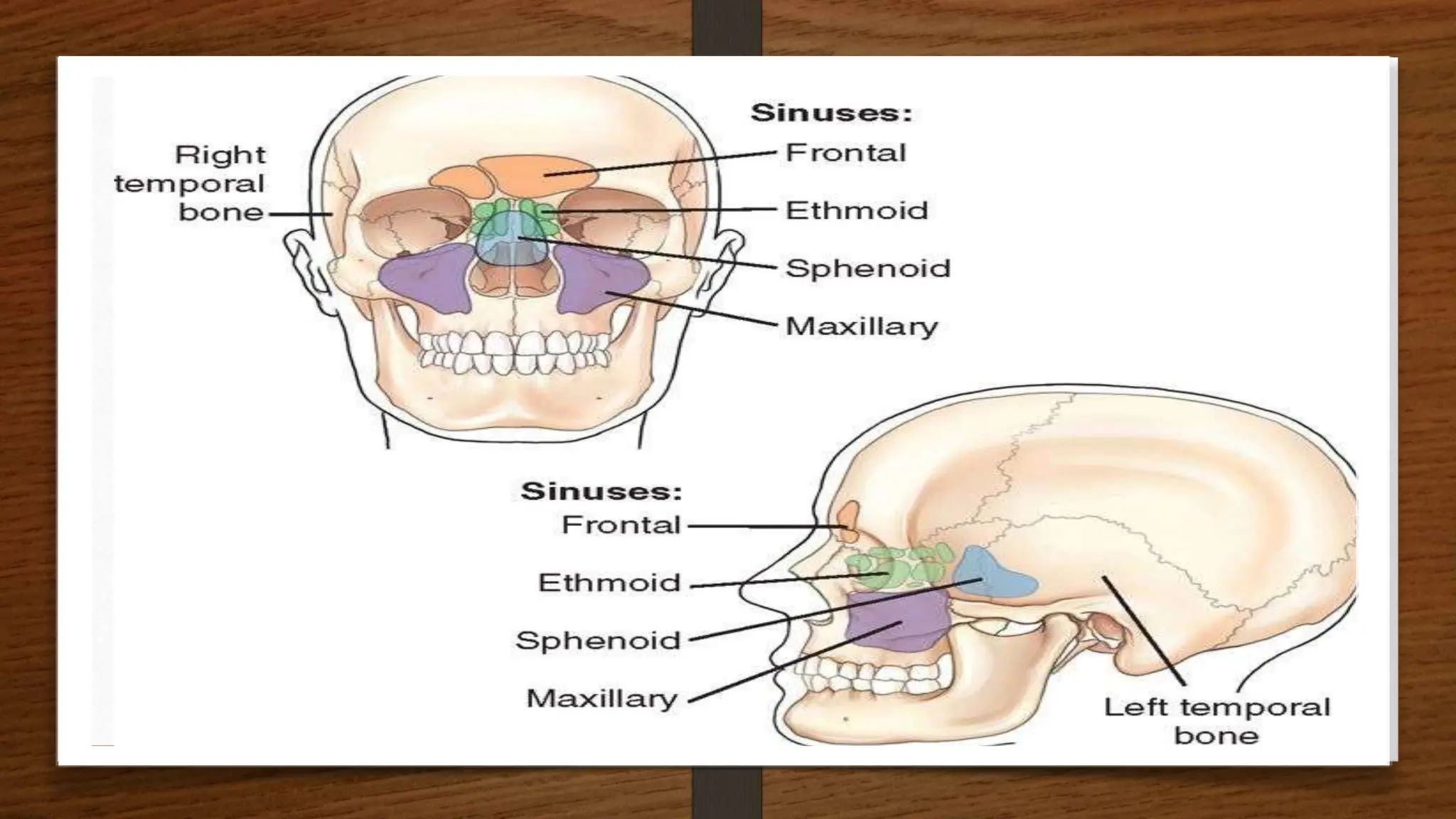 PNS , Orbit and Neck .pptx