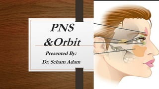 PNS
&Orbit
Presented By:
Dr. Seham Adam
 