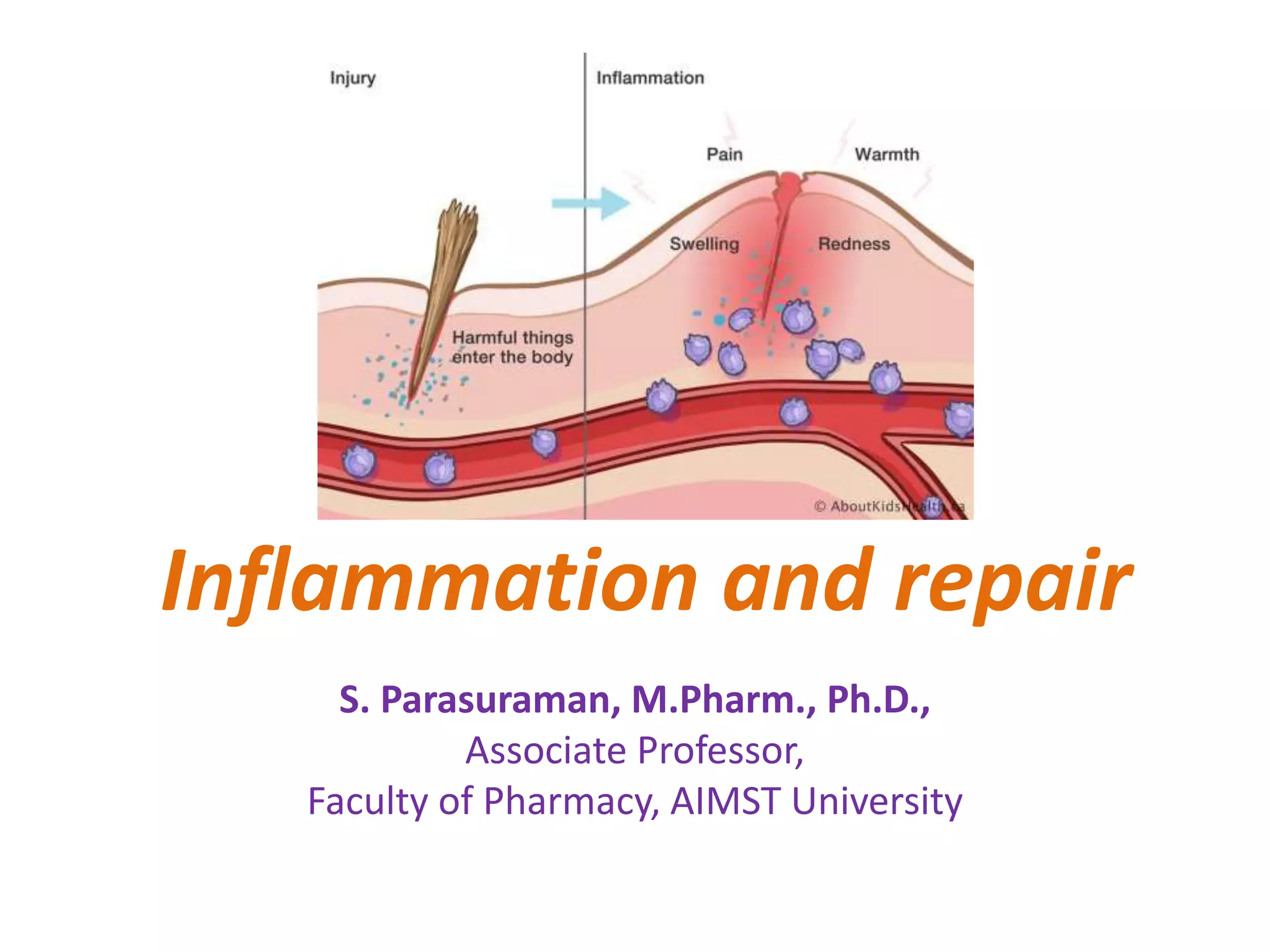 Pathophysiology inflammation and repair | PPTX