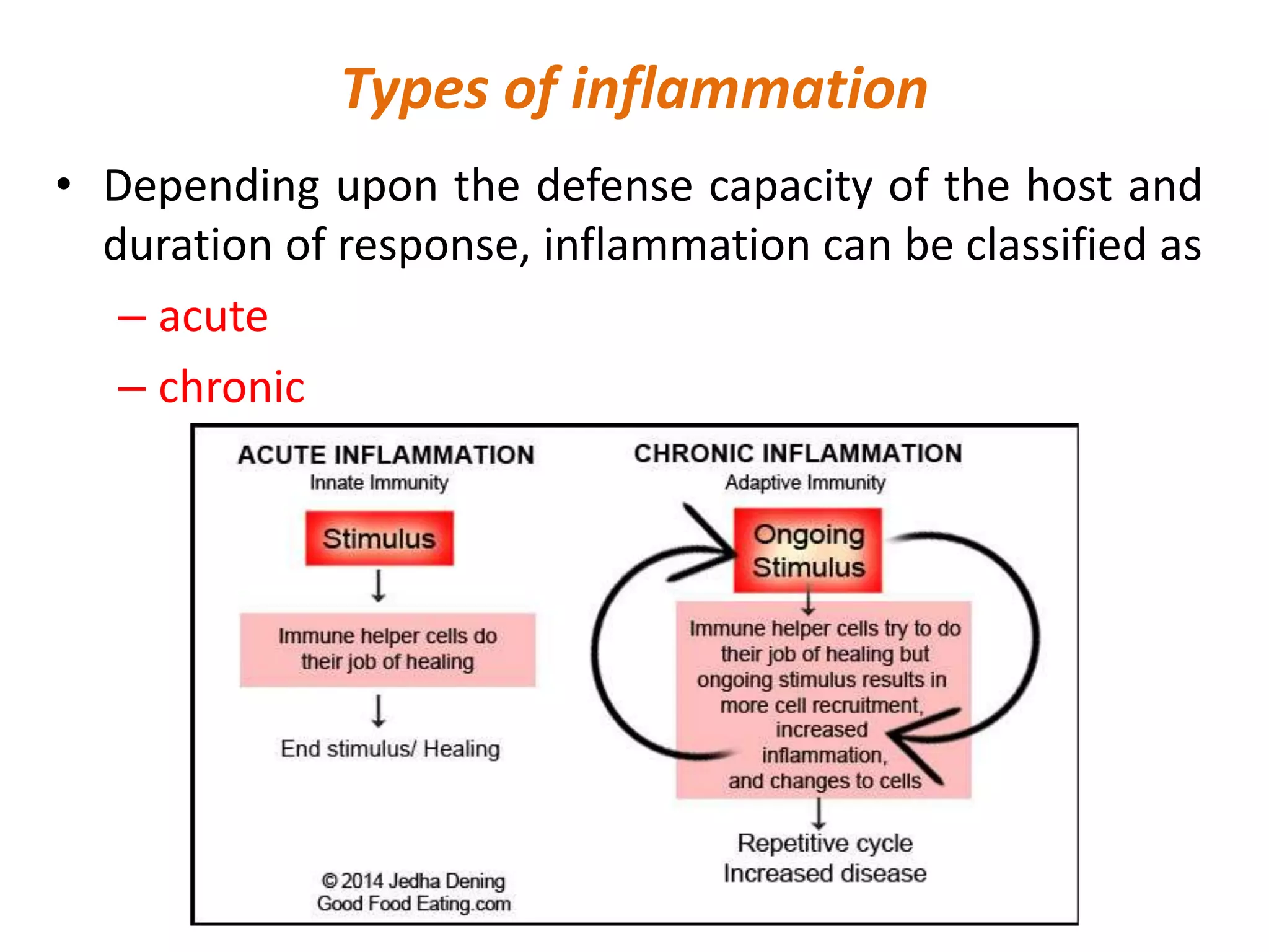 Pathophysiology inflammation and repair | PPTX