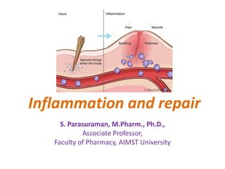 Inflammation and repair
S. Parasuraman, M.Pharm., Ph.D.,
Associate Professor,
Faculty of Pharmacy, AIMST University
 
