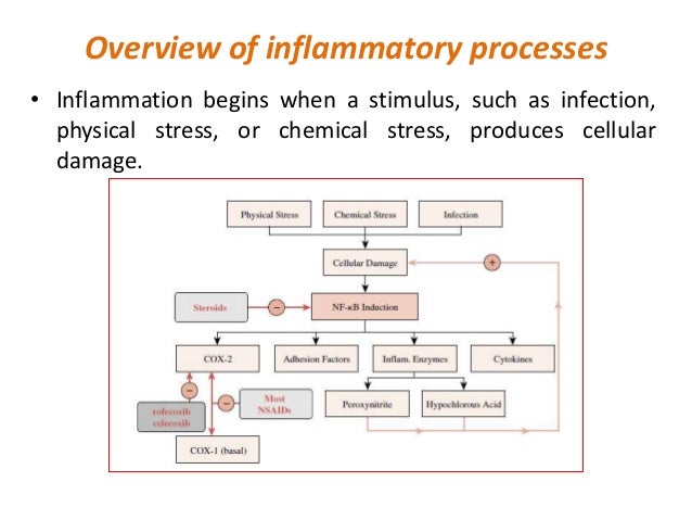 Pathophysiology inflammation and repair