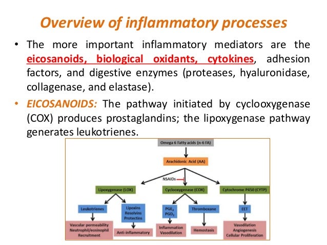 Pathophysiology inflammation and repair