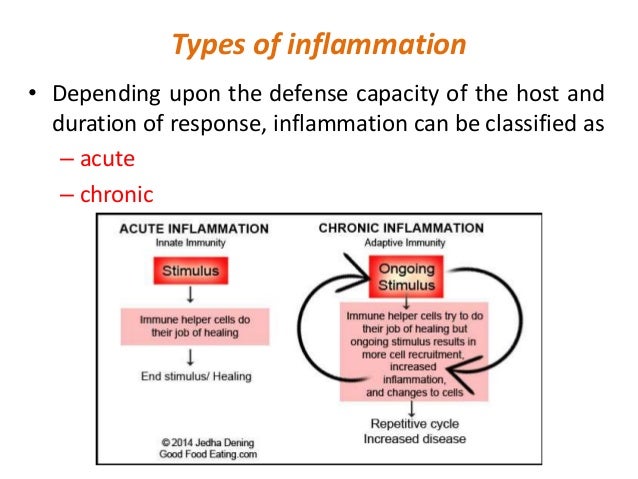 Pathophysiology inflammation and repair