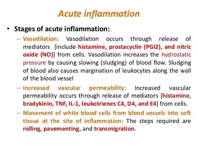 Pathophysiology inflammation and repair