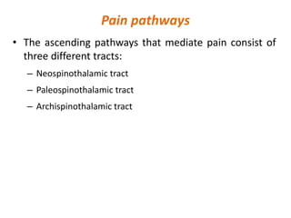 Pain pathways
• The ascending pathways that mediate pain consist of
three different tracts:
– Neospinothalamic tract
– Paleospinothalamic tract
– Archispinothalamic tract
 