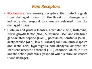 Pain Receptors
• Nociceptors are sensory receptors that detect signals
from damaged tissue or the threat of damage and
indirectly also respond to chemicals released from the
damaged tissue.
• Globulin and protein kinases, arachidonic acid, histamine,
Nerve growth factor (NGF), Substance P (SP) and calcitonin
gene-related peptide (CGRP), potassium, Serotonin (5-HT),
acetylcholine (ACh), low pH (acidic) solution, muscle spasm
and lactic acid, hyperalgesia and allodynia activate the
Transient receptor potential (TRP) channels which in turn
initiate action potentials (respond when a stimulus causes
tissue damage).
 