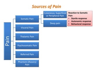 Sources of PainPain
Somatic Pain
Cutaneous, Superficial
or Peripheral Pain
Deep pain
Visceral Pain
Thalamic Pain
Psychosomatic Pain
Referred Pain
Phantom (illusory)
Pain
Reaction to Somatic
Pain
• Startle response
• Autonomic response
• Behavioral response
 