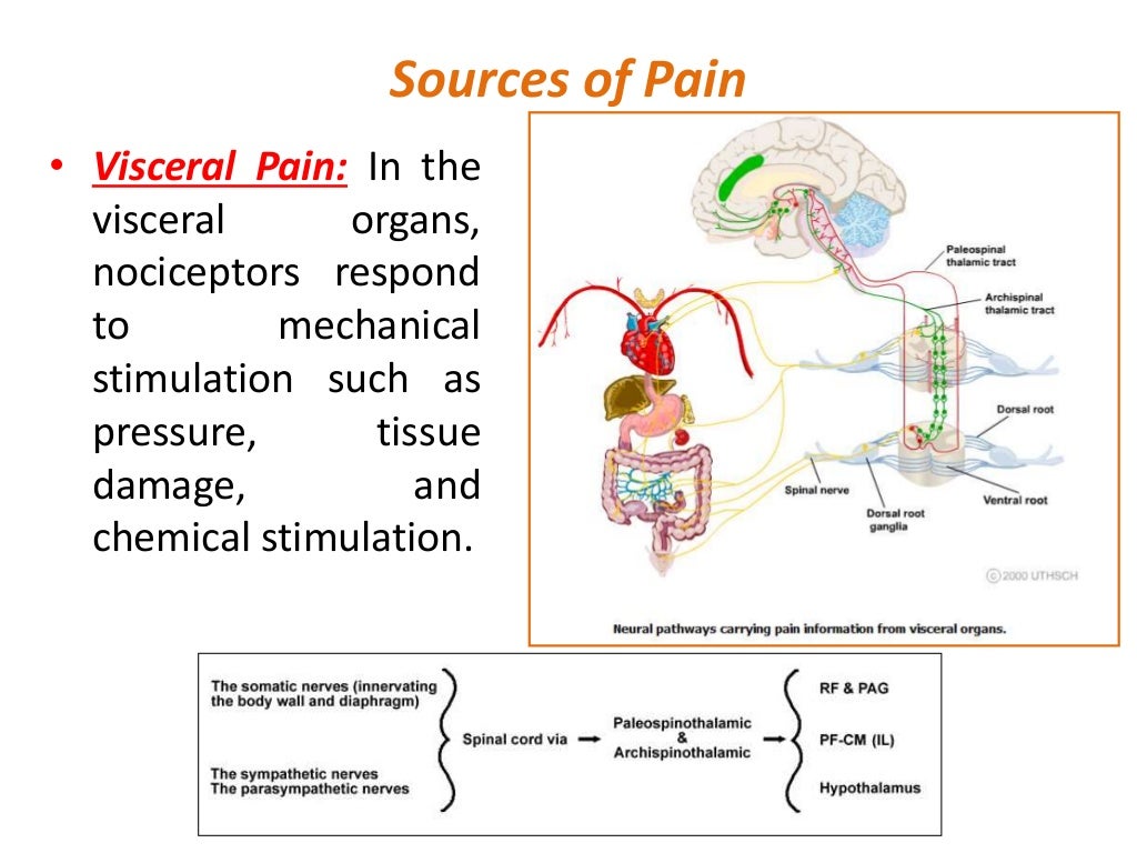 Pathophysiology pain and pain pathways
