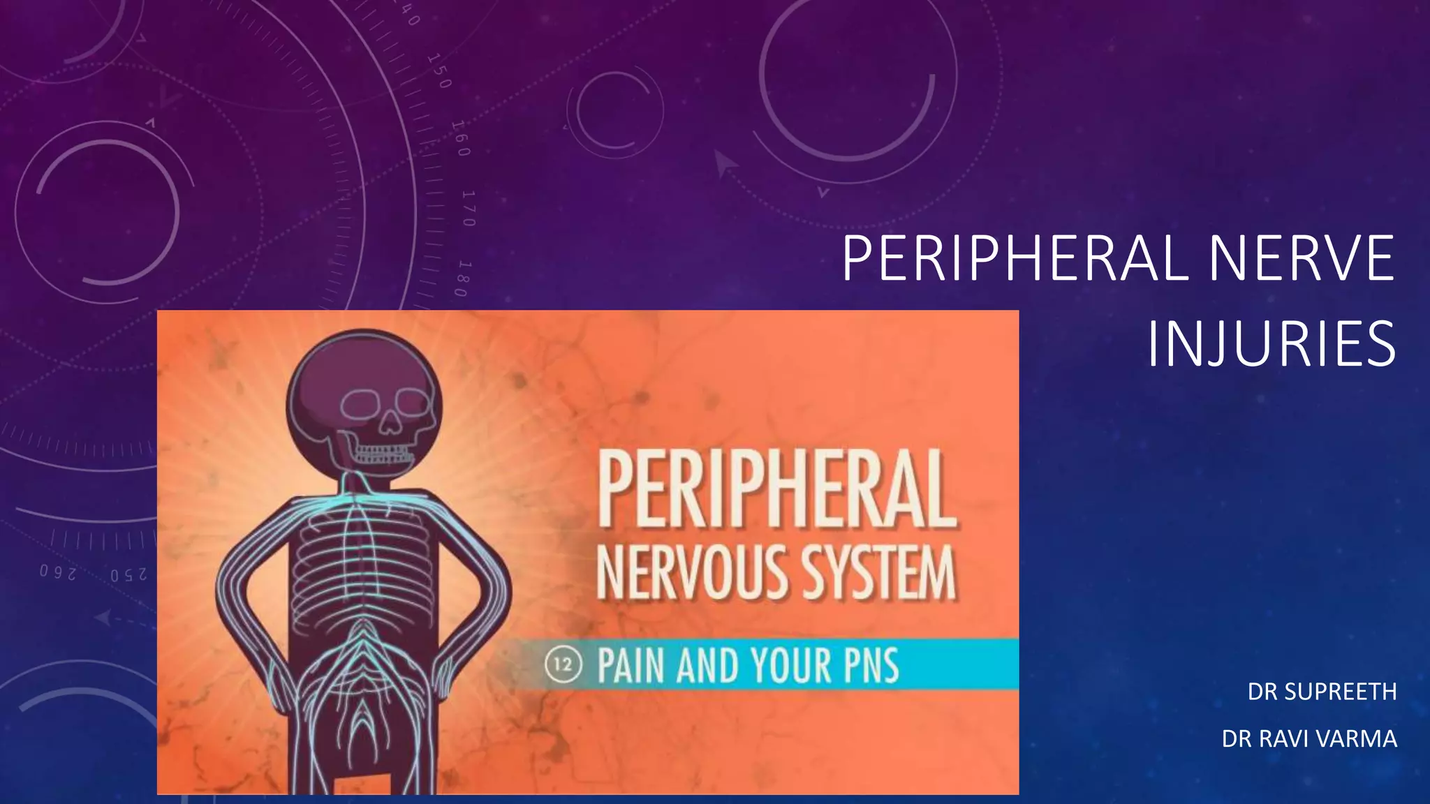 Peripheral nervous system ppt | PPTX