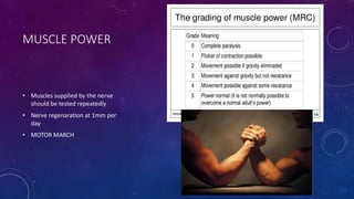 MUSCLE POWER
• Muscles supplied by the nerve
should be tested repeatedly
• Nerve regenaration at 1mm per
day
• MOTOR MARCH
 