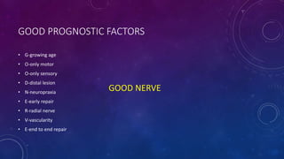 GOOD PROGNOSTIC FACTORS
• G-growing age
• O-only motor
• O-only sensory
• D-distal lesion
• N-neuropraxia
• E-early repair
• R-radial nerve
• V-vascularity
• E-end to end repair
GOOD NERVE
 