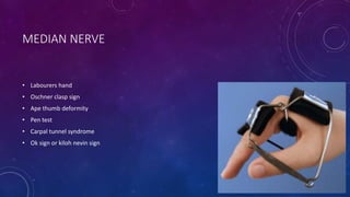 MEDIAN NERVE
• Labourers hand
• Oschner clasp sign
• Ape thumb deformity
• Pen test
• Carpal tunnel syndrome
• Ok sign or kiloh nevin sign
 