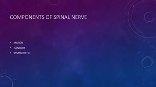 COMPONENTS OF SPINAL NERVE
• MOTOR
• SENSORY
• SYMPATHETIC
 
