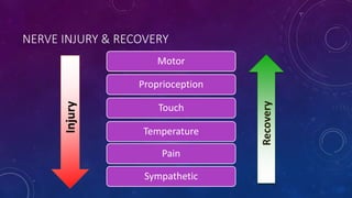 NERVE INJURY & RECOVERY
Motor
Proprioception
Touch
Temperature
Pain
Sympathetic
Recovery
Injury
 