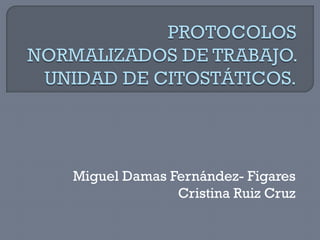 Miguel Damas Fernández- Figares
              Cristina Ruiz Cruz
 