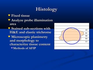 HistologyHistology
 Fixed tissueFixed tissue
 Analyze probe illuminationAnalyze probe illumination
areaarea
 Stained sub-sections withStained sub-sections with
H&E and elastic trichromeH&E and elastic trichrome
 Microscopic planimetryMicroscopic planimetry
and morphology toand morphology to
characterize tissue contentcharacterize tissue content
Methods of AFIPMethods of AFIP
A3
B1
B2
B3
C1
 