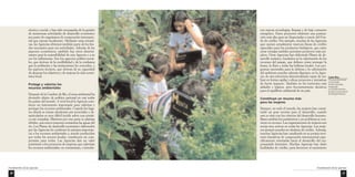 técnica y social, y han sido encargadas de la gestión 
de numerosas actividades de desarrollo económico 
por parte de organismos de cooperación internacio-nal 
que operan localmente. Mediante estas iniciati-vas, 
las Agencias obtienen también parte de los fon-dos 
necesarios para sus actividades. Además de los 
aspectos económicos, también hay otros determi-nantes 
para la sostenibilidad de una Agencia y a su 
vez los influencian. Son los aspectos político-socia-les, 
que derivan de la credibilidad y de la confianza 
que la población y las instituciones les conceden, y 
los aspectos técnicos, que derivan de su capacidad 
de alcanzar los objetivos y de mejorar la vida econó-mica 
local. 
Protege y valoriza los 
recursos ambientales 
Después de la Cumbre de Río, el tema ambiental ha 
devenido objeto de política nacional en casi todos 
los países del mundo. A nivel local la Agencia cons-tituye 
un instrumento importante para valorizar y 
proteger los recursos ambientales. Cuando los luga-res 
donde se toman decisiones son sectoriales y de-sarticulados 
es muy difícil incidir sobre una temáti-ca 
tan compleja. Mientras por una parte se plantan 
árboles, una nueva empresa contamina las aguas del 
río. Los Planes de desarrollo económico elaborados 
por las Agencias les confieren la máxima importan-cia 
a los recursos ambientales y, siendo producidos 
por todos los actores locales, constituyen un com-promiso 
para todos. Las Agencias dan un valor 
prioritario a los proyectos de empresa que valorizan 
los recursos ambientales, no contaminan, e introdu- 
Fundamentos de las Agencias 
30 
Costa Rica 
Una escuela primaria 
en el Cantón 
de Pérez Zeledón, 
trabajando 
en el jardín botánico 
de una reserva natural 
de la Región Brunca 
Fundamentos de las Agencias 
31 
cen nuevas tecnologías, limpias y de bajo consumo 
energético. Estos proyectos obtienen una puntua-ción 
más alta para ser financiados a través del Fon-do 
de crédito. Por ejemplo, muchas de las Agencias 
que operan actualmente reservan líneas de crédito 
especiales para los productos biológicos, que entre 
otras ventajas también permiten promover más em-pleos. 
Otras Agencias han elaborado Planes de de-sarrollo 
turístico, fundados en la valorización de los 
recursos del paisaje, que definen cómo proteger la 
fauna, la flora y todas las bellezas locales. Los pro-gramas 
nacionales para la defensa y la valorización 
del ambiente pueden además disponer, en la Agen-cia, 
de una estructura descentralizada capaz de rea-lizar 
en forma capilar y eficaz proyectos e iniciativas 
de fuerte impacto. También en los territorios más 
aislados y lejanos, pero frecuentemente decisivos 
para el equilibrio ambiental de un país. 
Constituye un recurso más 
para las mujeres 
Siempre, en todo el mundo, las mujeres han consti-tuido 
un gran recurso para el desarrollo, cuando 
este es visto con los criterios del desarrollo humano. 
Basta cambiar los parámetros y un problema se con-vierte 
en recurso. Las organizaciones de mujeres son 
socias muy activas en todas las Agencias. Las muje-res 
siempre pueden ser titulares de crédito. Además, 
muchas Agencias han canalizado en su propio terri-torio 
iniciativas de cooperación internacional espe-cíficamente 
orientadas hacia el desarrollo del em-presariado 
femenino. Muchas Agencias han dado 
facilidades de crédito, para favorecer el nacimiento 
 