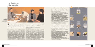 50 
Las funciones 
y los servicios 
Las funciones y los servicios 
Las funciones y los servicios 
51 
contexto de referencia, están dirigidos a: 
• formular Planes territoriales de desarrollo, y 
hasta sectoriales, en colaboración con otras 
instituciones interesadas. 
• realizar estudios e investigaciones útiles al 
cumplimiento de actividades de planificación 
y de ordenamiento territorial 
• constituir un soporte técnico especializado, 
capaz de apoyar las instituciones locales 
• mejorar la coordinación de las intervenciones 
que, por varios motivos, diferentes actores 
realizan en el área, organizando encuentros 
entre varios organismos nacionales e 
internacionales que allí operen, favoreciendo 
la formación de comisiones y comités, 
evitando superposiciones y despilfarros 
• orientar la participación de la cooperación 
internacional y de los programas nacionales 
de desarrollo 
• desarrollar proyectos de desarrollo territorial 
y empresarial, buscando fuentes potenciales 
de financiamiento, presentando las 
solicitudes a los financiadores y siguiendo los 
expedientes 
• efectuar acciones de marketing del territorio 
para favorecer las relaciones del área con el 
exterior (comercialización, intercambios, joint 
ventures) y atraer recursos externos, 
presentando todas las oportunidades y los 
beneficios que el área ofrece 
• favorecer la creación y difusión de otros 
servicios especializados, como por ejemplo los 
financieros y comerciales. 
LOS SERVICIOS 4 DE UNA AGENCIA 
Para alcanzar sus objetivos, la Agencia lleva a 
cabo diferentes funciones que se ubican en tres 
áreas estratégicas: el mejoramiento del contexto de 
referencia, la animación económica y el soporte 
empresarial. 
Estas funciones no siempre son desempeñadas di-rectamente 
por la estructura operativa de la Agen-cia. 
Donde existen las condiciones, o sea, organiza-ciones 
públicas y privadas con capacidad técnica y 
disponibilidad de recursos, una gama más o menos 
amplia de estas actividades es desarrollada por or-ganismos 
asociados a la Agencia o vinculados a la 
misma. No se puede olvidar que desde el punto de 
vista numérico, el personal técnico de la Agencia es 
necesariamente limitado. La Agencia compensa la 
dimensión reducida de su propia estructura técnica 
convirtiéndose en un centro de coordinación y de 
supervisión de segundo nivel. Cuadro 4 
Los servicios para un mejoramiento 
del contexto 
Una Agencia no tiene como objetivo el manejo de 
todo el conjunto de la economía de su propia área 
de influencia, y por tanto no se ocupa de todos los 
aspectos que se refieren al desarrollo, sino que tiene 
un papel específico. En efecto, puesto que repre-senta 
un importante foro de discusión y de encuen-tro 
entre actores locales, puede favorecer la coordi-nación 
de las intervenciones y contribuir a mejorar 
el contexto socioeconómico e institucional necesa-rio 
para favorecer y facilitar el desarrollo. 
Los servicios que una Agencia eroga para mejorar el 
Bosnia 
Herzegovina 
Parte del equipo 
técnico de la Agencia 
del Cantón de Travnik 
(CEBEDA). 
 