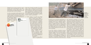 La creación de la Agencia 
77 
la Agencia, como se mencionó anteriormente, su 
forma jurídica se adecuará a las diferentes opor-tunidades 
ofrecidas por la legislación nacional. 
Normalmente se requiere consultas legales y 
apoyos de instancias del nivel central. Aunque 
puede ser complejo y laborioso (en algunos casos 
ha durado más de un año), este procedimiento 
generalmente coincide con un período de forma-ción 
indispensable para los socios, que toman 
nueva conciencia del valor de la estructura y sen-tido 
de propiedad. 
En esta fase, mientras se desarrolla el proceso 
descrito para constituir la estructura, es impor-tante 
que el equipo técnico de la Agencia elabore, 
mediante consultas a los socios, los primeros 
proyectos de impacto sobre la economía local. 
Deberán ser privilegiadas las iniciativas que 
garanticen una mayor visibilidad y/o aquellas que 
respondan a necesidades emergentes. Puede 
tratarse de la reconstrucción de una carretera que 
tiene importancia estratégica en la comercia-lización 
de los productos agrícolas locales, o del 
mejoramiento del sistema de transporte, o de la 
apertura de una línea de crédito para productos 
agrícolas básicos. Estas iniciativas tienen el fin 
evidente de dar a conocer la Agencia y sentar las 
bases de su credibilidad ante la población. En 
efecto, sucede con frecuencia que los calendarios 
agrícolas apremian y no pueden ajustarse al ritmo 
de la burocracia, o que esté por empezar la 
estación fría o de las lluvias, lo que impedirá en 
los siguientes meses cualquier trabajo de 
infraestructura. Estas primeras iniciativas sirven 
también como ejercicio para las estructuras de 
gestión, con el fin de precisar el modo normal de 
funcionamiento. En todo caso, es importante que 
la Agencia desde sus primeros pasos se presente 
ante la población como una estructura que 
responde a necesidades concretas locales y no 
como una enésima instancia burocrática, distante 
de la gente. 
designado por los socios. En todos los casos es 
necesario que los procedimientos sean claros y 
transparentes. Un buen equipo técnico y una 
buena atmósfera de trabajo constituyen los requi-sitos 
básicos para el éxito de la Agencia. 
La sede es una primera señal consistente de la 
presencia de la Agencia en el territorio y, pequeña 
o grande según las situaciones, debe tener su 
propia autonomía. Está ubicada siempre en la 
ciudad cabecera para permitir la participación de 
las instituciones públicas 
locales y también porque, 
normalmente, la cabecera 
coincide con el lugar de 
mejor acceso 
desde todo el territorio circundante. En muchos 
casos, la sede es ofrecida por las instituciones 
públicas locales. Los equipos son los de una ofi-cina 
y naturalmente varían según las disponibili-dades 
de presupuesto. La dotación de computa-doras 
modernas y del servicio de Internet, cuan-do 
es posible, seguramente facilitará las comuni-caciones 
nacionales e internacionales y permitirá 
el acceso a mejores oportunidades. 
La imagen externa es un factor de extrema 
importancia porque le permite am-pliar 
su propio espacio político y 
operativo. Es indispensable que una 
Agencia se dé a conocer, promovien-do 
su presencia ante la población 
local e instituciones y organismos 
que puedan entrar a formar parte 
de su red de relaciones. La activi-dad 
de promoción puede ser rea-lizada 
de muchas maneras, ade-cuadas 
al contexto local: cam-pañas 
publicitarias en los medios 
de comunicación local, elabo-ración 
de plegables, folletos y 
carteles, selección de un 
logotipo adecuado, organi-zación 
de encuentros públi-cos, 
preferiblemente con la 
presencia de autoridades del 
nivel central, publicidad de 
las actividades. 
Finalmente, en lo que se 
refiere a la legalización de 
Guatemala 
Entre los proyectos 
de impacto de la 
Agencia de Ixcan, 
adquieren particular 
importancia 
los dedicados 
a mejorar las vías 
de comunicación. 
La creación de la Agencia 
76 
 