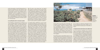 Los recursos para el desarrollo económico local 
97 
pueden desempeñar un papel fundamental para so-lucionar 
los problemas que tornan difícil la canali-zación 
de fondos y recursos en las áreas con mayo-res 
desventajas. En efecto, han permitido actuar si-multáneamente 
sobre un conjunto de factores de-terminantes, 
como la movilización de recursos fi-nancieros 
locales, la disposición de sistemas de cré-dito, 
la orientación de los fondos de inversión pú-blica, 
la disponibilidad de recursos para actividades 
de preinversión, la canalización de fondos naciona-les 
e internacionales. 
La movilización de los recursos locales 
En El Salvador, el departamento de Morazán, que 
ocupa el penúltimo lugar en el índice de pobreza del 
país, generaba, en 1992, a través del sistema banca-rio, 
casi 8 millones de dólares de ahorro. En el mis-mo 
año, el sistema financiero invertía en el departa-mento 
sólo 2 millones de dólares en actividades cre-diticias. 
El ejemplo muestra con claridad que el de-partamento 
de Morazán, uno de los más pobres del 
país, era un exportador neto de capital. Indica tam-bién 
cómo el modelo tradicional de concentración 
de recursos financieros provoca y alimenta las con-diciones 
de miseria. ¿Por qué asombrarse entonces 
de que El Salvador sea un país caracterizado por al-tos 
niveles de conflictos internos, y que Morazán ha-ya 
constituido, durante la guerra civil de los años 80, 
una de las zonas de mayor efervescencia del conflic-to? 
Es evidente que democratizar el proceso de de-sarrollo 
quiere decir también democratizar las opor-tunidades 
de acceso a los créditos para las regiones 
menos favorecidas por las intervenciones tradicio-nales. 
Por tanto, como primer paso, una Agencia 
debe verificar la consistencia de los recursos locales. 
Generalmente estos recursos se descuidan, porque 
no son considerados significativos, pero el ejemplo 
de El Salvador demuestra que también las regiones 
más pobres están en condiciones de producir y ex-portar 
capital neto. La solución del problema con-siste 
más bien en coordinar, con las instituciones fi-nancieras, 
mecanismos que permitan reinvertir los 
recursos financieros locales en el mismo territorio 
que los genera. Los bancos, en efecto, no asumen fá-cilmente 
riesgos en territorios aislados ni la onerosa 
carga de tantos pequeños expedientes crediticios. 
Un segundo aspecto significativo es que el super-ávit 
generado localmente no siempre llega a los cir-cuitos 
financieros administrados por los bancos. En 
efecto, hasta los habitantes más pobres desarrollan 
diferentes formas de ahorro, que siguen modelos 
tradicionales caracterizados por una gran pruden-cia. 
El problema a resolver, en este caso, es la pro-gresiva 
transformación de las formas tradicionales 
de ahorro en mecanismos que permitan la transfe-rencia 
de los superávit a otras personas del lugar, 
que necesitan recursos adicionales para poner en 
marcha nuevas inversiones. Pero las personas en 
condiciones de pobreza difícilmente asumen el ries-go 
de confiar sus ahorros a un organismo al que no 
le tengan la más absoluta confianza. Se tratará, por 
lo tanto, de crear un sistema local que sea social-mente 
creíble, defienda los intereses de los peque-ños 
ahorradores, promueva formas de ahorro mo-netario, 
permita captar el superávit en el territorio 
y lo redistribuya localmente a través del crédito. 
Los recursos para el desarrollo económico local 
96 
El Salvador 
Departamento 
de Morazán: Centro 
de recolección de café 
de las cooperativas 
agrícolas. 
La Agencia de 
Morazán apoya 
fuertemente estas 
cooperativas. 
En fin, incluso en las áreas más en desventaja, exis-ten 
grupos y personas dotadas de recursos financie-ros. 
Sin embargo, cuando las condiciones locales 
son extremadamente adversas, las inversiones de 
estos grupos tienden a realizarse en otro lugar, en las 
áreas dotadas de carreteras, luz eléctrica, mano de 
obra calificada. También en este caso se trata de 
crear incentivos que estimulen a estos grupos a in-vertir 
en el territorio, en actividades que se incluyan 
en las líneas productivas que sostienen la economía 
local. Cuadro 2 
El complejo papel que desarrolla la Agencia es el si-guiente: 
garantizar las instituciones bancarias contra 
los riesgos que asumen operando en territorios en 
desventaja, tutelar simultáneamente los intereses de 
la población, sobre todo la más expuesta a las con-secuencia 
de la pobreza y, en fin, crear un ambiente 
económico más favorable, que estimule las inversio-nes 
en el lugar. Las Agencias representan la inver-sión 
más importante para poder canalizar en el te-rritorio 
los fondos necesarios para su desarrollo eco-nómico. 
La implementación del sistema de crédito local 
Una de las primeras actividades que una Agencia 
realiza en el territorio es el ajuste del sistema de cré-dito 
local. El crédito, asociado a la asistencia técni-ca, 
es un instrumento muy poderoso que les permi-te 
a las ideas, iniciativas y capacidades materializar-se 
en realidades concretas de desarrollo económico. 
Para que la Agencia pueda llevar a cabo esta tarea, 
es preciso que esté dotada de su propio fondo de 
crédito. No podría nunca adquirir la confianza de la 
población, de las instituciones financieras y del sec-tor 
privado si no dispusiera de sus propios medios 
para obrar. A partir de sus propios recursos podrá 
 