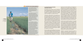 Los recursos para el desarrollo económico local 
109 
La orientación de las inversiones 
nacionales y externas 
Las Agencias, pues, permiten crear las condiciones 
básicas indispensables para atraer nuevas inversio-nes, 
incluidos los fondos internacionales. En todas 
las experiencias realizadas, ellas han logrado ganar 
prestigio en numerosas cooperaciones y canalizar 
sumas considerables a sus propios territorios. 
Ahora bien, ¿cuáles podrían ser las perspectivas de 
una utilización sistemática y programada de los fon-dos 
internacionales para sostener los procesos de 
desarrollo económico local? Los gobiernos de los 
países en vías de desarrollo declaran a menudo que 
la única posibilidad de ofrecer oportunidades de in-versión 
a las áreas en desventaja consiste en movili-zar 
los recursos de la cooperación internacional. 
Esta opción comporta muchos riesgos si no está 
acompañada por políticas e inversiones nacionales 
coherentes. No solo consolida la discriminación si-no 
que corre el riesgo de provocar una gran confu-sión 
en las iniciativas y proyectos en los niveles loca-les, 
que, incapaces de generar impacto, favorecen 
artificialmente pequeños segmentos de la realidad 
local y, en el peor de los casos, alimentan también 
los conflictos y la corrupción. 
Para desarrollar las potencialidades de las Agencias, 
serían necesarias políticas nacionales de descentrali-zación 
que las concibieran como instrumentos pro-pios. 
Una postura decidida por parte de los gobier-nos 
permitiría orientar orgánicamente los recursos 
internacionales hacia las Agencias, y no de manera 
casual, como sucede actualmente. Un ejemplo es su-ministrado 
por dos países europeos, Inglaterra y 
Portugal, que han adoptado la decisión política de 
promover las Agencias y de orientar hacia ellas de 
forma sistemática los fondos estructurales de la 
Unión Europea. También en los países en vías de 
desarrollo, políticas de este tipo no son sólo posibles 
sino necesarias. Les permitirían a las Agencias dis-poner 
de oportunidades y de canales estructurales 
de financiación a los cuales actualmente no tienen 
acceso. Por ejemplo, podrían ser creados fondos de 
garantía nacionales reservados a las actividades de 
crédito de las Redes nacionales de las Agencias. Dis-posiciones 
de este género no tendrían costos mayo-res 
que aquellos sostenidos en la actualidad en cada 
país para financiar una miríada de intervenciones. 
Un fuerte apoyo nacional permitiría a los equipos 
técnicos de las Agencias concentrarse mayormente 
en sus propias funciones, que son complejas, y pro-ducir 
resultados de mayor impacto en la vida econó-mica 
del territorio. La búsqueda de financiamientos 
constituye un empeño, permanente y abrumador, de 
todas las Agencias actualmente en función y, si por 
una parte ha contribuido a formar a los operadores 
en el difícil arte de abrirse camino, por la otra ha mo-vilizado 
también muchas energías en perjuicio del 
trabajo técnico necesario para el desarrollo. 
También la cooperación internacional podría de-sempeñar 
un importante papel si promoviera con 
determinación las estrategias de desarrollo econó-mico 
local, y a las Agencias como instrumentos para 
concretarlas. Esta promoción podría tener un efec- 
Los recursos para el desarrollo económico local 
108 
A PROPÓSITO 4 DEL FINANCIAMIENTO 
Una forma original de financiamiento del 
Fondo de crédito de una Agencia, 
experimentada en América Central, 
consiste en la utilización de fondos de 
contrapartida provenientes de la 
donación de ayudas alimentarias o de 
otros bienes. 
Muchas organizaciones de cooperación 
suelen acordar con los gobiernos 
beneficiarios que algunas donaciones, 
especialmente las de alimentos, generen 
Fondos de contrapartida. Estos acuerdos 
son factibles cuando los gobiernos están 
dispuestos a vender los bienes en el 
mercado nacional. En este caso, es 
posible establecer entre las partes el 
destino de las ganancias. Uno de los 
posibles destinos es el fondo de crédito de 
las Agencias. 
Con esta modalidad, la cooperación 
italiana ha creado la primera Agencia de 
América Central, en Granada, Nicaragua, 
y ha financiado su Fondo de crédito. 
También la Unión Europea ha destinado 
fondos propios de contrapartida para 
financiar un proyecto de producción de 
arroz realizado por la Agencia del 
departamento de León en Nicaragua. Los 
excelentes resultados obtenidos (100% 
de reembolso del crédito) han motivado a 
la Unión Europea a destinar 
periódicamente otros fondos para la 
misma Agencia. También la cooperación 
japonesa ha orientado sus fondos de 
contrapartida (provenientes de la venta de 
neumáticos) para potenciar el fondo de 
crédito de la Agencia del departamento 
de Ocotepeque en Honduras. 
Nicaragua 
Cultivo de arroz 
apoyado 
por la Agencia 
del Departamento 
de León. 
 