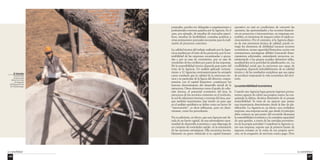 La sostenibilidad 
127 
puntuales, pueden ser delegadas a organizaciones o 
profesionales externos guiados por la Agencia. Es el 
caso, por ejemplo, de estudios de mercados especí-ficos, 
estudios de factibilidad, consultas jurídicas u 
otras prestaciones puntuales necesarias para la reali-zación 
de proyectos concretos. 
La calidad técnica del trabajo realizado por la Agen-cia 
se medirá por el éxito de los proyectos, por la sos-tenibilidad 
de las empresas encaminadas o apoya-das 
y por su tasa de crecimiento, por su tasa de 
reembolso de los créditos por parte de las empresas. 
De la sostenibilidad técnica depende gran parte del 
éxito de la Agencia. Un análisis aplicado reciente-mente 
a 12 Agencias centroamericanas ha arrojado 
como resultado que la calidad de la estructura téc-nica 
y en particular de la figura del director, conjun-tamente 
con el capital financiero, constituyen los 
factores determinantes del desarrollo inicial de la 
estructura. Otros elementos como el grado de cohe-sión 
interna, el potencial económico del área, la 
estructura de los servicios existentes en el territorio, 
la red de relaciones internas y externas del área, aun-que 
también importantes, han tenido un peso que 
en el análisis estadístico se define como un factor de 
“intervención”, es decir influyente, pero no deter-minante, 
como los precedentes. 
No es suficiente, en efecto, que una Agencia esté do-tada 
de un fuerte capital, de una sobresaliente opor-tunidad 
de desarrollo económico y que disponga de 
un conjunto de sociedades unidas en la orientación 
de las opciones estratégicas. Ella encuentra inevita-blemente 
un grave obstáculo si su capital humano 
operativo no está en condiciones de convertir las 
opciones, las oportunidades y los recursos financie-ros 
en proyectos e intervenciones, en empresas sos-tenibles, 
en iniciativas de impacto sobre el tejido so-cioeconómico. 
Por el contrario, si la Agencia dispo-ne 
de una estructura técnica de calidad, puede co-rregir 
los elementos de debilidad (escasos recursos 
económicos, escasa capacidad financiera, socios con 
orientaciones estratégicas débiles) buscando finan-ciamientos 
adicionales, estimulando proyectos, su-ministrando 
a los grupos sociales elementos útiles, 
ayudándolos en la actividad de planificación, etc. La 
credibilidad social que la estructura sea capaz de 
conquistar, depende indudablemente de su calidad 
técnica y de los resultados completos que sea capaz 
de producir mejorando la vida económica del terri-torio. 
La sostenibilidad económica 
Cuando una Agencia logra generar ingresos perma-nentes 
capaces de cubrir sus propios costos, ha con-quistado 
la última, decisiva dimensión de su propia 
sostenibilidad. Se trata de un aspecto que asume 
una importancia determinante desde la fase de pla-nificación. 
La Agencia es, en efecto, una verdadera 
empresa, una empresa social, que desde el principio 
debe conocer en qué punto del recorrido alcanzará 
la sostenibilidad económica y la completa capacidad 
de auto-gestión, a través de las entradas provenien-tes 
de la propia actividad. Considerar la Agencia co-mo 
una empresa, supone que la primera fuente de 
ingresos consiste en la venta de sus propios servi-cios, 
en la erogación de servicios contra pago. Pero 
El Salvador 
Construcción 
de pozos para 
reforzar las redes 
La sostenibilidad 
126 
de irrigación 
del Departamento 
de Chalatenango. 
 