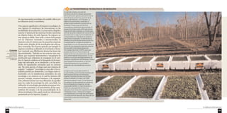 La influencia de las Agencias 
141 
do una innovación tecnológica de notable relieve por 
su influencia social y económica. 
Otro aspecto significativo del impacto tecnológico de 
una Agencia lo constituyen las innovaciones en las 
modalidades de producción. La innovación dirigida a 
mejorar el sistema de las empresas locales representa 
un objetivo básico de toda Agencia. Su impacto en 
este campo es doble. Ante todo, a través de la propia 
red de relaciones nacionales e internacionales, la 
Agencia actúa de manera que las pequeñas empresas 
locales estén dotadas de las tecnologías más adecua-das 
y avanzadas. En el sector agrícola, por ejemplo, la 
Agencia contribuye a difundir en el territorio el know 
how nacional, que difícilmente alcanza las áreas más 
descentralizadas. También en los sectores más com-plejos, 
que requieren instrumentos y maquinaria de 
producción que solamente se consiguen en el exte-rior, 
la Agencia colabora en la búsqueda de la tecno-logía 
más adecuada, en su instalación y en las activi-dades 
de capacitación necesarias para su correcto 
uso. Sin estos apoyos, el riesgo para una empresa de 
adquirir “cualquier” tecnología es muy alto y los re-sultados 
pueden ser desastrosos. Los riesgos están re-lacionados 
con la transferencia automática de una 
tecnología a un contexto en el cual los insumos del 
proceso (energía, recursos humanos y de organiza-ción, 
infraestructuras) son muy diferentes de aquellos 
para los cuales la tecnología ha sido concebida. La 
utilización de tecnologías apropiadas presupone la in-tervención 
consciente y el conocimiento de las carac-terísticas 
del usuario y de las potencialidades de la 
oferta tecnológica. Este papel puede ser eficazmente 
garantizado por la Agencia. Cuadro 2 
La influencia de las Agencias 
140 
LA TRANSFERENCIA TECNOLÓGICA 2 EN MORAZÁN 
Un ejemplo simple y concreto de 
transferencias de tecnologías apropiadas 
dentro del sector agrícola, para promover la 
diversificación productiva, proviene de la 
Agencia de Morazán, en El Salvador. La 
Agencia ha promovido y sostenido un 
proyecto para la siembra y producción de 
hortalizas, frutas y soya con técnicas 
innovadoras y localmente desconocidas. El 
proyecto ha involucrado a 650 agricultores. 
Después de haber realizado un estudio para 
verificar las potencialidades de nuevas formas 
de producción, la Agencia ha establecido un 
contacto directo e individual con todos los 
agricultores interesados, ha distribuido las 
semillas y ha suministrado asistencia técnica 
correspondiente. La Agencia también ha 
organizado un curso de capacitación para los 
socios de una cooperativa agrícola y para los 
técnicos del Centro Nacional para las 
Tecnologías Agrícolas (CENTA), para que 
puedan asumir en el futuro la tarea de 
asistencia técnica a la producción y de control 
de las enfermedades de las plantas. En casi 
todos los municipios del Departamento de 
Morazán, la producción de hortalizas, frutas y 
soya representa actualmente un recurso 
importante porque es muy rentable y 
responde a las necesidades de consumo 
local. 
La Agencia se ha asociado también al 
proyecto Kellog, promoviendo la producción 
demostrativa de maíz con fertilizante 
orgánico, la producción de unos 60,000 
árboles forestales y frutales y de 3,000 
plantas de papaya y cacao. La transferencia 
tecnológica ha sido realizada con asistencia 
técnica dirigida por la Agencia. Ha sido 
organizado también un viaje de estudio a 
Honduras, para aprender las técnicas 
utilizadas en el Centro de Capacitación Rural 
“El Naranjo Chino”, famoso en la región 
centroamericana. En el viaje han participado 
13 productores de Morazán que después han 
transmitido a otros los conocimientos 
adquiridos. 
El Salvador 
Introducción 
de nuevas técnicas 
de producción 
de hortalizas y frutas 
en el Departamento 
de Morazán. 
 