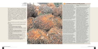 La influencia de las Agencias 
143 
En la experiencia de las Agencias en América Cen-tral, 
muchos proyectos de transferencia tecnológica 
se han vinculado al sector agrícola. Se ha tratado de 
intervenciones en las producciones tradicionales y 
también en producciones innovadoras como la agri-cultura 
biológica. La Agencia ha garantizado la pla-nificación, 
la financiación y la capacitación para la 
utilización de técnicas y equipos. Otros proyectos 
innovadores se han vinculado con el sector artesa-nal, 
garantizando la asistencia en la utilización de ins-trumentos 
y maquinarias y la capacitación para el 
mejoramiento de la calidad de los productos. 
Cuadro 3 
Algunos indicadores para medir el impacto tecnoló-gico 
son: 
• número de instituciones especializadas socias de 
la Agencia 
• número de instituciones nacionales 
especializadas vinculadas a la Agencia 
• número de estructuras internacionales vinculadas 
a la Agencia 
• número de tecnologías apropiadas e innovadoras 
adquiridas por organizaciones locales 
• número de empresas apoyadas en la innovación 
tecnológica 
• número de instituciones locales que utilizan las 
tecnologías promovidas por la Agencia 
• número de eventos formativos–informativos de 
transferencia de conocimientos 
• número de personas, empresas e instituciones 
que requieren los servicios de la Agencia. 
La influencia de las Agencias 
142 
EL DESARROLLO AGRÍCOLA 3 EN PÉREZ ZELEDÓN 
El centro Agrícola cantonal de Pérez 
Zeledón, en Costa Rica, forma parte de una 
red de estructuras que el Gobierno ha 
instituido en cada cantón del país, para 
suministrar servicios a los agricultores. Costa 
Rica es el único país de América Central que 
ha elaborado una ley específica para 
promover el desarrollo económico local. 
Aunque en 1980, cuando fue promulgada 
la ley, la atención general estaba enfocada 
sobre el desarrollo agrícola más que sobre 
las estrategias integradas de desarrollo 
económico local, los centros agrícolas 
cantonales fueron diseñados como 
verdaderas Agencias desde el punto de vista 
de sus funciones y de su composición como 
sociedad, que reúnen a todos los actores 
públicos y privados del Cantón. 
El Cantón de Pérez Zeledón está ubicado en 
la Región Brunca, una de las menos 
favorecidas por el desarrollo económico. 
Cuando se difundieron las Agencias en la 
región centroamericana, la comunidad 
cantonal de Pérez Zeledón decidió que 
también el Centro Agrícola tenía que 
transformarse sumando a los servicios de 
apoyo a la agricultura el conjunto de las 
actividades típicas de las Agencias. La 
agricultura sigue siendo, de todas formas, el 
recurso principal del Cantón, y la Agencia 
está muy interesada en actuar de manera tal 
que ella constituya el sostén de un desarrollo 
autosostenible, tanto desde el punto de 
vista económico como ecoambiental. 
Desde 1990 el Centro había creado un 
almacén de productos para la agricultura, 
que vende a los campesinos todo lo 
necesario a precios muy ventajosos, 
suministrando simultáneamente asistencia 
técnica y, algo muy importante, el crédito 
para empezar la actividad de siembra. Una 
vez realizada la cosecha, el campesino paga 
su deuda. Los resultados han sido 
espectaculares. En 1990, el volumen anual 
de los negocios era de alrededor de 150,000 
dólares; en 1998 había crecido hasta 
1,200,000. 
Otro gran problema para los agricultores del 
Cantón es la venta de productos ya que, 
cuando se confían a los intermediarios 
tradicionales, obtienen precios 
desfavorables. Por lo tanto, el Centro ha 
organizado una feria–mercado de 
productos de la zona, en donde unos 300 
productores vienen para vender cada 
viernes y sábado. En la feria, cada semana, 
son intercambiadas mercancías por un valor 
de unos 150,000 dólares. Todavía más 
frecuente es el caso de agricultores que 
llegan desde otras zonas del país 
aumentando el movimiento comercial y la 
circulación de los productos. Pero el reto 
más importante es el desarrollo de las 
hortalizas y de las frutas cultivadas 
orgánicamente. Muchos agricultores ya 
practican este método, y obtienen 
excelentes resultados. Productos como la 
guanábana, fruta tropical dulce y jugosa, y 
las moras de montaña, cultivadas 
orgánicamente en Pérez Zeledón, se venden 
en todo el país porque son consideradas de 
altísima calidad, además, ya desde hace 
algunos años, se activó un flujo regular de 
exportaciones hacia Canadá y Estados 
Unidos. En la actualidad el Centro, que 
reúne a los productores del Cantón, está 
buscando el sello de calidad, que es 
otorgado a los asociados después de un 
cuidadoso análisis de los productos. Se 
suministra asistencia técnica para la 
utilización apropiada de fertilizantes 
orgánicos y las técnicas de producción. Los 
productos orgánicos tienen gran éxito, 
porque la gente es consciente de que así se 
protege el medio ambiente, la salud y se 
tienen más oportunidades de trabajo. 
También por esto, el Centro está 
conquistando una confianza siempre mayor 
entre la población y está volviéndose un 
punto de referencia en la relación entre 
productores y consumidores. 
Costa Rica 
Frutas de palma 
para la producción 
de aceite 
en la Región Brunca. 
 