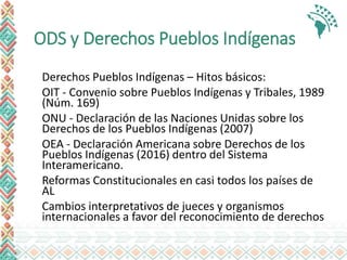 ODS y Derechos Pueblos Indígenas
Derechos Pueblos Indígenas – Hitos básicos:
OIT - Convenio sobre Pueblos Indígenas y Tribales, 1989
(Núm. 169)
ONU - Declaración de las Naciones Unidas sobre los
Derechos de los Pueblos Indígenas (2007)
OEA - Declaración Americana sobre Derechos de los
Pueblos Indígenas (2016) dentro del Sistema
Interamericano.
Reformas Constitucionales en casi todos los países de
AL
Cambios interpretativos de jueces y organismos
internacionales a favor del reconocimiento de derechos
 