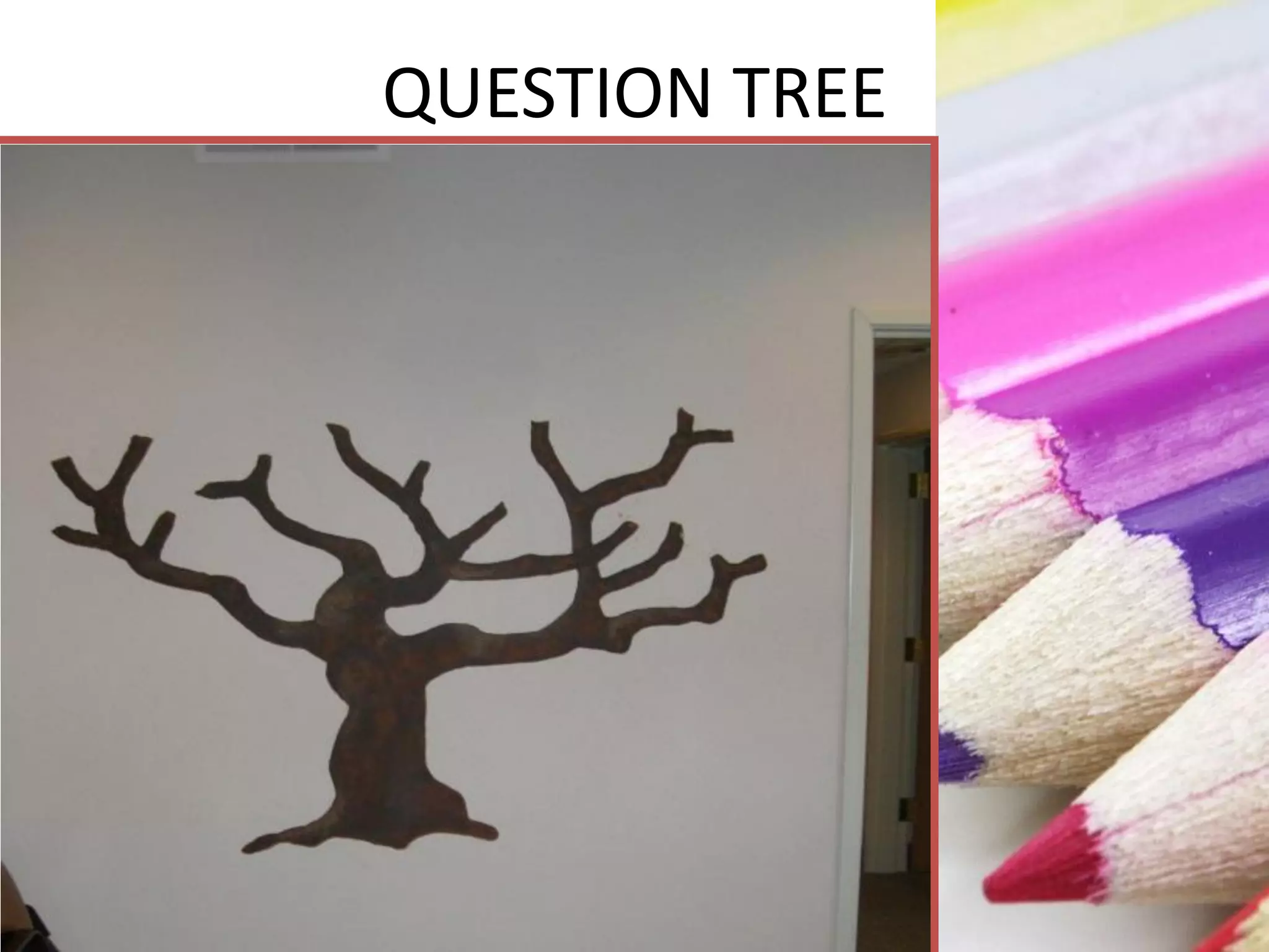 QUESTION TREE
 