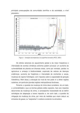 principais preocupações da comunidade científica e da sociedade, a nível
planetário.
Figura 1. Variação da temperatura na superfície terrestre (IPCC, 2001)
Os efeitos adversos do aquecimento global e da maior freqüência e
intensidade de eventos climáticos extremos podem provocar um aumento da
vulnerabilidade do planeta em diversas áreas, como por exemplo, perdas na
agricultura e ameaça à biodiversidade, expansão de vetores de doenças
endêmicas, aumento da freqüência e intensidade de enchentes e secas,
mudança do regime hidrológico, com impactos sobre a capacidade de geração
hidrelétrica. Além disso, a elevação do nível do mar pode vir a afetar regiões
costeiras, em particular grandes regiões metropolitanas litorâneas.
Portanto, a questão da mudança do clima deve considerar, de um lado,
a vulnerabilidade a que os biomas globais estão expostos, face aos impactos
decorrentes da mudança do clima, e conseqüente necessidade de se definir
estratégias de adaptação a esses impactos e, de outro lado, a questão da
mitigação da mudança do clima, por meio de medidas que visam reduzir as
emissões de gases, ou “seqüestrar” o carbono existente na atmosfera.
 