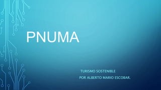 PNUMA
TURISMO SOSTENIBLE
POR ALBERTO MARIO ESCOBAR.
 