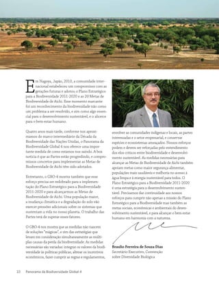 Panorama da Biodiversidade Global 410
E
m Nagoya, Japão, 2010, a comunidade inter-
nacional estabeleceu um compromisso com as
gerações futuras e adotou o Plano Estratégico
para a Biodiversidade 2011-2020 e as 20 Metas de
Biodiversidade de Aichi. Esse momento marcante
foi um reconhecimento da biodiversidade não como
um problema a ser resolvido, e sim como algo essen-
cial para o desenvolvimento sustentável, e o alicerce
para o bem-estar humano.
Quatro anos mais tarde, conforme nos aproxi-
mamos do marco intermediário da Década da
Biodiversidade das Nações Unidas, o Panorama da
Biodiversidade Global 4 nos oferece uma impor-
tante medida de como estamos nos saindo. A boa
notícia é que as Partes estão progredindo, e compro-
missos concretos para implementar as Metas de
Biodiversidade de Aichi têm sido adotados.
Entretanto, o GBO-4 mostra também que esse
esforço precisa ser redobrado para a implemen-
tação do Plano Estratégico para a Biodiversidade
2011-2020 e para alcançarmos as Metas de
Biodiversidade de Aichi. Uma população maior,
a mudança climática e a degradação do solo vão
exercer pressões adicionais sobre os sistemas que
sustentam a vida no nosso planeta. O trabalho das
Partes terá de superar esses fatores.
O GBO-4 nos mostra que as medidas não nascem
de soluções “mágicas”, e sim das estratégias que
levam em consideração simultaneamente as múlti-
plas causas da perda da biodiversidade. As medidas
necessárias são variadas: integrar os valores da biodi-
versidade às políticas públicas, alterar os incentivos
econômicos, fazer cumprir as regras e regulamentos,
envolver as comunidades indígenas e locais, as partes
interessadas e o setor empresarial, e conservar
espécies e ecossistemas ameaçados. Nossos esforços
podem e devem ser reforçadas pelo entendimento
dos elos críticos entre biodiversidade e desenvolvi-
mento sustentável. As medidas necessárias para
alcançar as Metas de Biodiversidade de Aichi também
apoiam metas como maior segurança alimentar,
populações mais saudáveis e melhoria no acesso à
água limpa e à energia sustentável para todos. O
Plano Estratégico para a Biodiversidade 2011-2020
é uma estratégia para o desenvolvimento susten-
tável. Precisamos dar continuidade aos nossos
esforços para cumprir não apenas a missão do Plano
Estratégico para a Biodiversidade mas também as
metas sociais, econômicas e ambientais do desen-
volvimento sustentável, e para alcançar o bem-estar
humano em harmonia com a natureza.
Braulio Ferreira de Souza Dias
Secretário Executivo, Convenção
sobre Diversidade Biológica
 