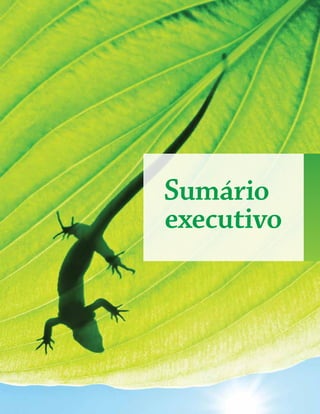 Panorama da Biodiversidade Global 4 11
Sumário
executivo
 