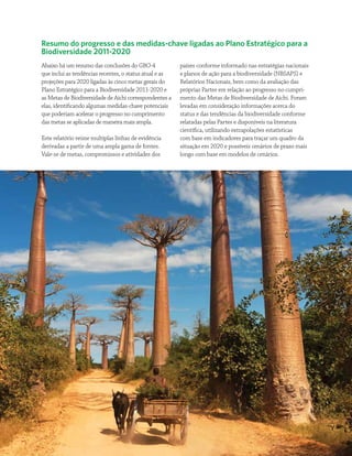 Panorama da Biodiversidade Global 4 13
Resumo do progresso e das medidas-chave ligadas ao Plano Estratégico para a
Biodiversidade 2011-2020
Abaixo há um resumo das conclusões do GBO-4
que inclui as tendências recentes, o status atual e as
projeções para 2020 ligadas às cinco metas gerais do
Plano Estratégico para a Biodiversidade 2011-2020 e
as Metas de Biodiversidade de Aichi correspondentes a
elas, identificando algumas medidas-chave potenciais
que poderiam acelerar o progresso no cumprimento
das metas se aplicadas de maneira mais ampla.
Este relatório reúne multiplas linhas de evidência
derivadas a partir de uma ampla gama de fontes.
Vale-se de metas, compromissos e atividades dos
países conforme informado nas estratégias nacionais
e planos de ação para a biodiversidade (NBSAPS) e
Relatórios Nacionais, bem como da avaliação das
próprias Partes em relação ao progresso no cumpri-
mento das Metas de Biodiversidade de Aichi. Foram
levadas em consideração informações acerca do
status e das tendências da biodiversidade conforme
relatadas pelas Partes e disponíveis na literatura
científica, utilizando extrapolações estatísticas
com base em indicadores para traçar um quadro da
situação em 2020 e possíveis cenários de prazo mais
longo com base em modelos de cenários.
 