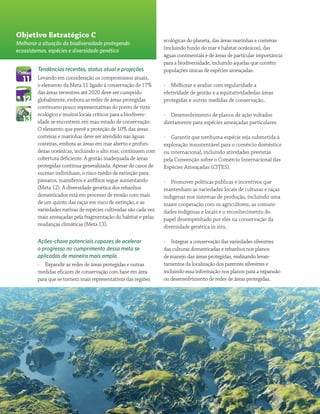Panorama da Biodiversidade Global 416
Tendências recentes, status atual e projeções
Levando em consideração os compromissos atuais,
o elemento da Meta 11 ligado à conservação de 17%
das áreas terrestres até 2020 deve ser cumprido
globalmente, embora as redes de áreas protegidas
continuem pouco representativas do ponto de vista
ecológico e muitos locais críticos para a biodivers-
idade se encontrem em mau estado de conservação.
O elemento que prevê a proteção de 10% das áreas
costeiras e marinhas deve ser atendido nas águas
costeiras, embora as áreas em mar aberto e profun-
dezas oceânicas, incluindo o alto mar, continuem com
cobertura deficiente. A gestão inadequada de áreas
protegidas continua generalizada. Apesar de casos de
sucesso individuais, o risco médio de extinção para
pássaros, mamíferos e anfíbios segue aumentando
(Meta 12). A diversidade genética dos rebanhos
domesticados está em processo de erosão com mais
de um quinto das raças em risco de extinção, e as
variedades nativas de espécies cultivadas são cada vez
mais ameaçadas pela fragmentação do habitat e pelas
mudanças climáticas (Meta 13).
Ações-chave potenciais capazes de acelerar
o progresso no cumprimento dessa meta se
aplicadas de maneira mais ampla
•• Expandir as redes de áreas protegidas e outras
medidas eficazes de conservação com base em área
para que se tornem mais representativas das regiões
ecológicas do planeta, das áreas marinhas e costeiras
(incluindo fundo do mar e habitat oceânicos), das
águas continentais e de áreas de particular importância
para a biodiversidade, incluindo aquelas que contêm
populações únicas de espécies ameaçadas.
•• Melhorar e avaliar com regularidade a
efetividade de gestão e a equitatividadedas áreas
protegidas e outras medidas de conservação..
•• Desenvolvimento de planos de ação voltados
diretamente para espécies ameaçadas particulares.
•• Garantir que nenhuma espécie seja submetida à
exploração insustentável para o comércio doméstico
ou internacional, incluindo atividades previstas
pela Convenção sobre o Comércio Internacional das
Espécies Ameaçadas (CITES).
•• Promover políticas públicas e incentivos que
mantenham as variedades locais de culturas e raças
indigenas nos sistemas de produção, incluindo uma
maior cooperação com os agricultores, as comuni-
dades indígenas e locais e o reconhecimento do
papel desempenhado por eles na conservação da
diversidade genética in situ.
•• Integrar a conservação das variedades silvestres
das culturas domesticadas e rebanhos nos planos
de manejo das áreas protegidas, realizando levan-
tamentos da localização dos parentes silvestres e
incluindo essa informação nos planos para a expansão
ou desenvolvimento de redes de áreas protegidas.
Objetivo Estratégico C
Melhorar a situação da biodiversidade protegendo
ecossistemas, espécies e diversidade genética
 
