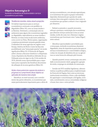 Panorama da Biodiversidade Global 4 17
Tendências recentes, status atual e projeções
Os habitat importantes para os serviços
ecossistêmicos continuam a ser perdidos ou
degradados (Meta 14), como as zonas úmidas e
as florestas. Entretanto, a restauração está em
andamento para alguns dos ecossistemas esgotados
ou degradados, especialmente as zonas úmidas e
florestas, às vezes numa escala muito ambiciosa,
como ocorre na China. Muitos países, organizações
e empresas prometeram restaurar grandes áreas.
O abandono de terras agrícolas em regiões como
Europa, América do Norte e Leste da Ásia está
possibilitando uma “restauração passiva” em escala
significativa (Meta 15). O Protocolo de Nagoya
sobre o Acesso a Recursos Genéticos e a Repartição
Justa e Equitativa dos Benefícios Advindos de sua
Utilização entra em vigor no dia 12 de outubro de
2014, abrindo novas oportunidades para a repar-
tição justa e equitativa dos benefícios decorrentes
da utilização de recursos genéticos (Meta 16).
Ações-chave potenciais capazes de acelerar o
progresso no cumprimento desse objetivo se
aplicadas de maneira mais ampla
•• Identificar, no nível nacional, com o envolvi-
mento das partes relevantes, os ecossistemas que
sejam particularmente importantes para a oferta de
serviços ecossistêmicos, com atenção especial para
os ecossistemas dos quais os grupos vulneráveis
dependem diretamente por questão de saúde,
nutrição, bem-estar geral e sustento, bem como os
ecossistemas que ajudam a reduzir o risco originado
por desastres.
•• Reduzir as pressões e, quando necessário,
reforçar a proteção e restauração dos ecossistemas
que oferecem serviços essenciais (como as zonas
úmidas, recifes de coral, rios e florestas e regiões
montanhosas que funcionam como “caixas d’água”,
entre outros).
•• Identificar oportunidades e prioridades para
a restauração, incluindo ecossistemas altamente
degradados, áreas de importância particular para os
serviços ecossistêmmicos e conectividade ecológica,
e áreas em situação de abandono do uso na agricul-
tura ou outra forma de utilização pelo homem.
•• Quando possível, tornar a restauração uma ativi-
dade economicamente viável, agregando a geração
de renda e empregos às atividades de restauração.
•• Instalar até 2015 medidas legislativas, adminis-
trativas ou políticas públicas para a implementação
do Protocolo de Nagoya, bem como as estruturas
institucionais necessárias; e levar a cabo atividades
de capacitação e conscientização a ele ligadas, inclu-
indo o envolvimento com as comunidades indígenas
e locais, bem como o setor privado.
Objetivo Estratégico D
Aumentar os benefícios da biodiversidade e serviços
ecossistêmicos para todos
 