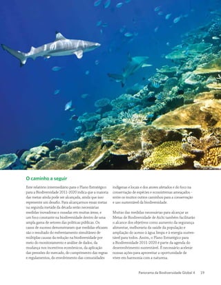 Panorama da Biodiversidade Global 4 19
O caminho a seguir
Este relatório intermediário para o Plano Estratégico
para a Biodiversidade 2011-2020 indica que a maioria
das metas ainda pode ser alcançada, ainda que isso
represente um desafio. Para alcançarmos essas metas
na segunda metade da década serão necessárias
medidas inovadoras e ousadas em muitas áreas, e
um foco constante na biodiversidade dentro de uma
ampla gama de setores das políticas públicas. Os
casos de sucesso demonstraram que medidas eficazes
são o resultado do enfrentamento simultâneo de
múltiplas causas da redução na biodiversidade por
meio do monitoramento e análise de dados, da
mudança nos incentivos econômicos, da aplicação
das pressões do mercado, do cumprimento das regras
e regulamentos, do envolvimento das comunidades
indígenas e locais e dos atores afetados e do foco na
conservação de espécies e ecossistemas ameaçados -
entre os muitos outros caminhos para a conservação
e uso sustentável da biodiversidade.
Muitas das medidas necessárias para alcançar as
Metas de Biodiversidade de Aichi também facilitarão
o alcance dos objetivos como aumento da segurança
alimentar, melhoraria da saúde da população e
ampliação do acesso à água limpa e à energia susten-
tável para todos. Assim, o Plano Estratégico para
a Biodiversidade 2011-2020 é parte da agenda do
desenvolvimento sustentável. É necessário acelerar
nossas ações para aproveitar a oportunidade de
viver em harmonia com a natureza.
 