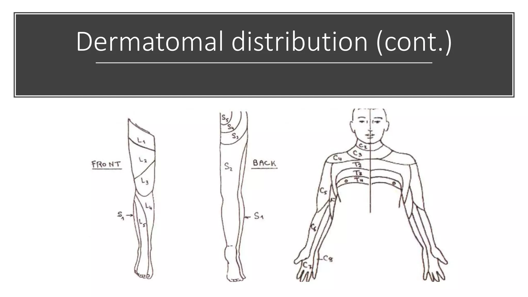 Examination of peripheral neuropathy | PPTX