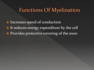  Increases speed of conduction
 It reduces energy expenditure by the cell
 Provides protective covering of the axon
 