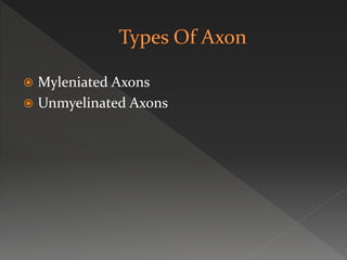  Myleniated Axons
 Unmyelinated Axons
 