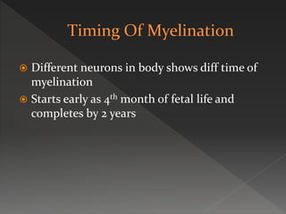  Different neurons in body shows diff time of
myelination
 Starts early as 4th month of fetal life and
completes by 2 years
 