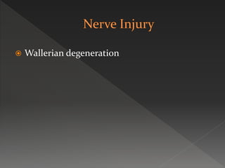  Wallerian degeneration
 
