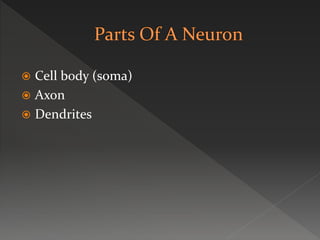  Cell body (soma)
 Axon
 Dendrites
 
